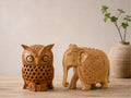 Royal Elephant & Guardian Owl Combo